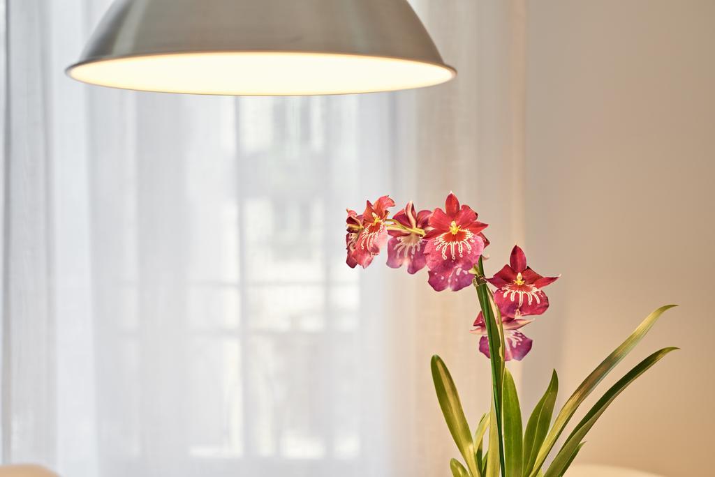 Apartamentos Ponte Nova Порту Экстерьер фото